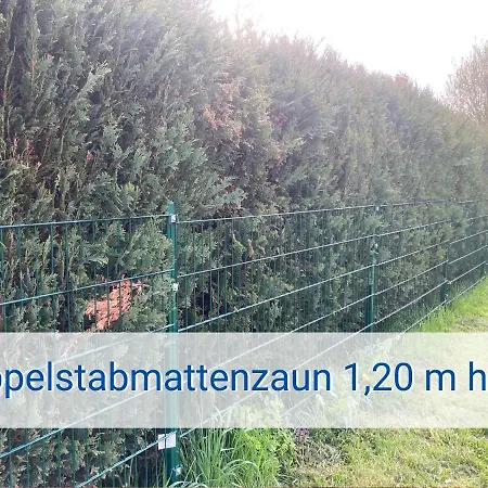 Lägenhet Strandliebe 100 Qm Gartenwohnung Neukirchen (Ostholstein)