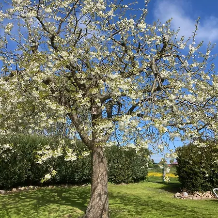 شقة Strandliebe 100 Qm Gartenwohnung